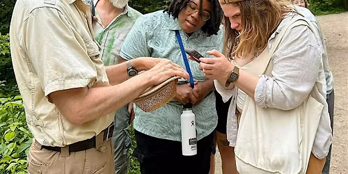 Nature Walk with a Naturalist:  "Summer Happenings Along the Creek"