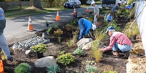 October MRC Port Townsend Rain Garden Work Party!