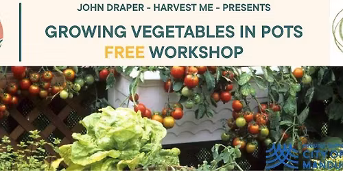 Growing Vegetables In Pots Workshop