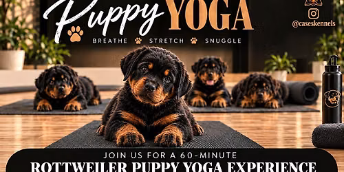 Cases Kennels Puppy Yoga