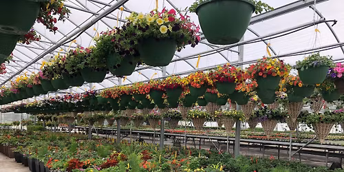 Herb Planter Workshop