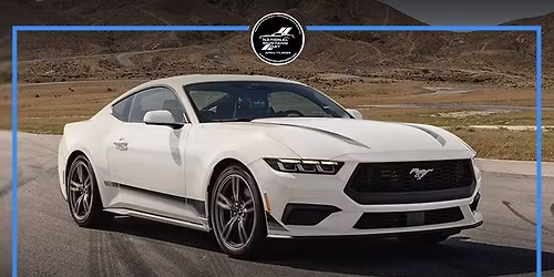 Activity-Rainbow Pennant