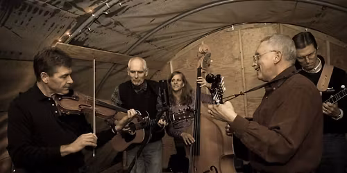 Seagrass at Funky Bow