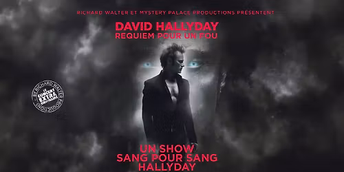 David Hallyday \u2022 24 novembre 2026 \u2022 Z\u00e9nith Limoges M\u00e9tropole