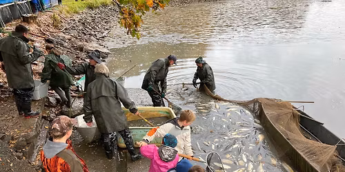 Tradi\u010dn\u00ed v\u00fdlov rybn\u00edku Velk\u00e1 D\u00e1lka