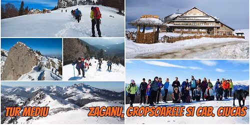 Tur mediu - Vf. Z\u0103ganu, Vf. Grop\u0219oarele \u0219i Cab.Ciuca\u0219