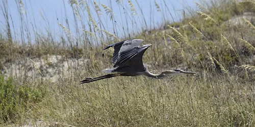 Huguenot Memorial Park Beach Walk
