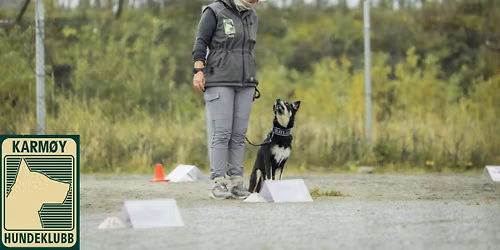 Dobbeltstevne i rallylydighet 22. og 23. august 2026 hos Karm\u00f8y Hundeklubb