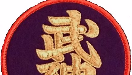 Seminar med Mikkel Treebak Bujinkan Dai shihan