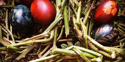 Family Easter Egg Hunt at Park View