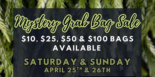 Mystery Grab Bag Sale \ud83e\udeb4\u2728