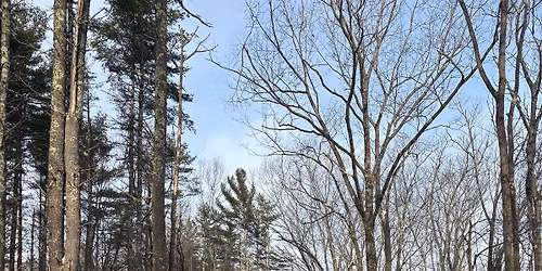 Forest Management Walk with Tim Nolin