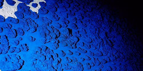 FRANCESCA DA RIMINI | GIANNI SCHICCHI