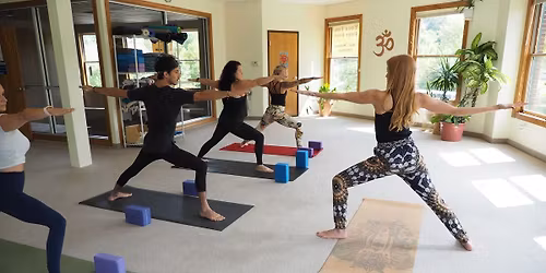 Ahimsa in Action: Cultivating Compassion Through Experiential Practice