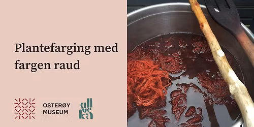 Plantefarging med raud