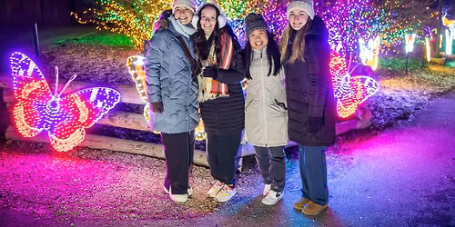 Wild Lights Zoo Year's Eve