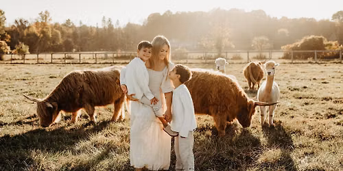 Highland Cow Mini Sessions (SOLD OUT)