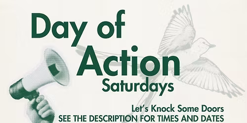 Mitchell Jacob for Congress: Let's Knock Some Doors!