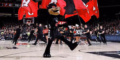 Cincinnati Bearcats at Houston Cougars Womens Basketball at Fertitta Center