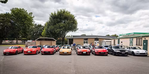 Onecrew End of 2025 Cruise