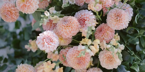 Dancing with Dahlias Monobloom Floral Design Class