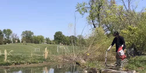 Peruque Creek Crawl
