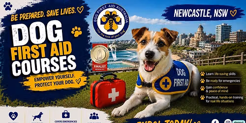 \ud83d\udc3e 16\/08\/2026 - Newcastle - Dog First Aid Course