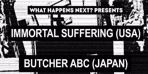 Immortal Suffering \/ Butcher ABC \/ Fecundation \/ Disgracing
