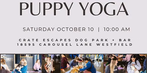 Puppy Yoga at the DogBar