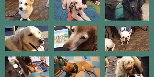 Pet Partners of Greater Cincinnati Therapy Team Evaluations