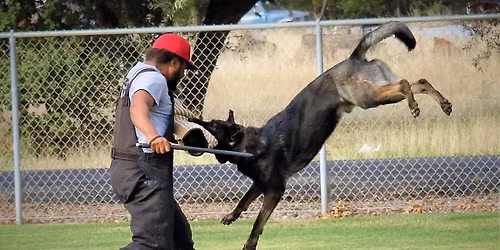 All Duty K9 WDA Trial