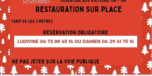 March\u00e9 de No\u00ebl