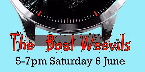 Saturday afternoon blues with the Boal Weevils at the Bicton Inn