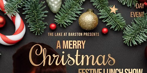 Christmas Lunch & Show with Emily Abbiss - Daytime event