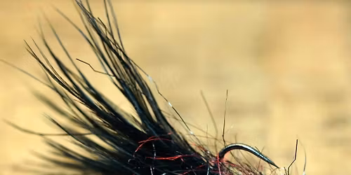 Open Fly Tying Session