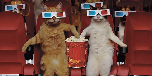 Closing Night Party | Bird Watching International