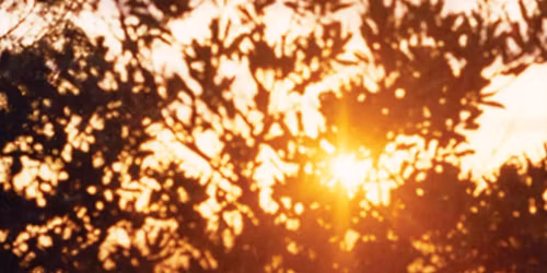 Kurt Vile in Trondheim