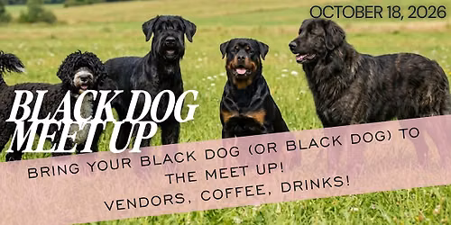 Black Dog Meet Up