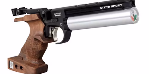 LSBA Air Pistol Match