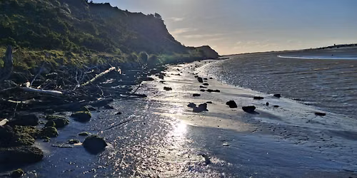 \ud83e\udd7e (E\/M) Landgard Bluff to the South Mole (Local Hike with Shorter Option*)