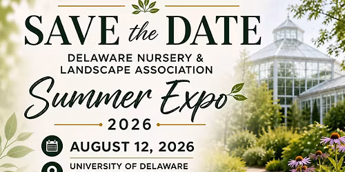 Summer Expo