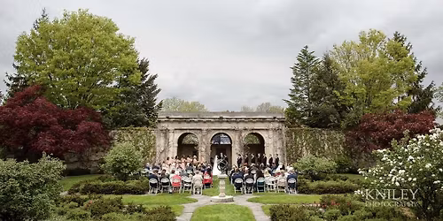 Parking Always A Bridesmaid - Rochester