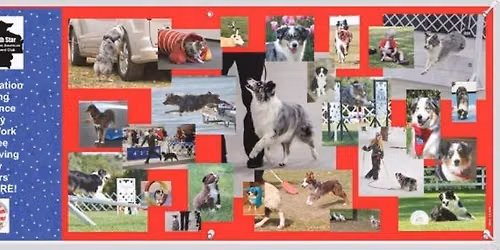 NSMASC Obedience and Rally Specialty