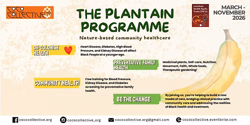 The Plantain Programme