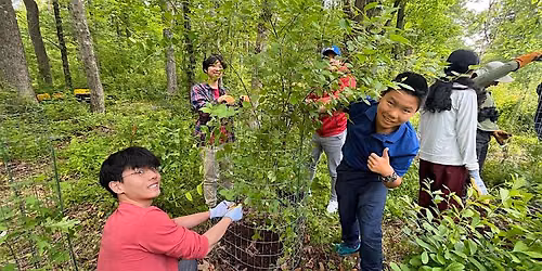 FOPOS Land Stewardship Volunteer Session \/\/ Sunday, July 19th
