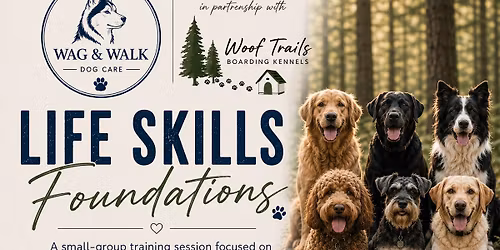 Life Skills Foundations