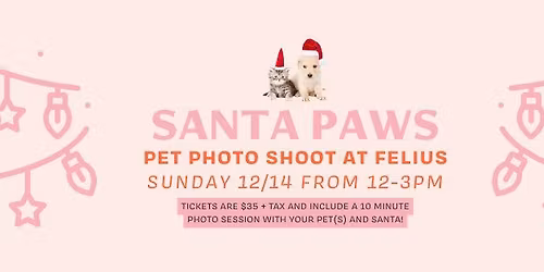 Felius 'Santa Paws' Pet Photoshoot!