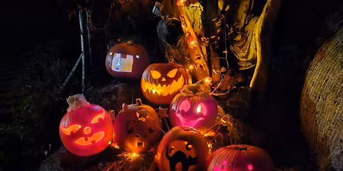 Halloweenowa Pami\u0105tkowa Sesja Zdj\u0119ciowa