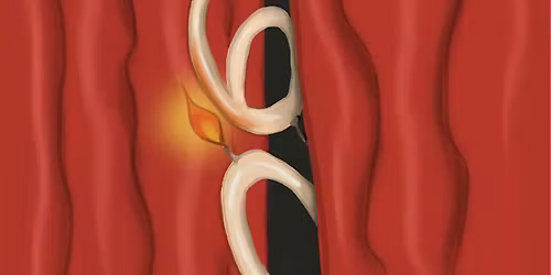 Brunel Creates: Studio Brunel Theatre Festival