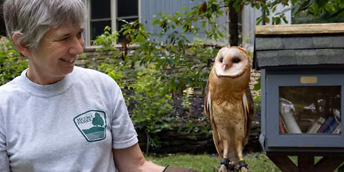Owl Meet-and-greet